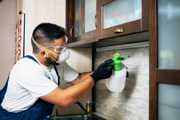 Pest Control for Restaurants in Lake Stickney, WA